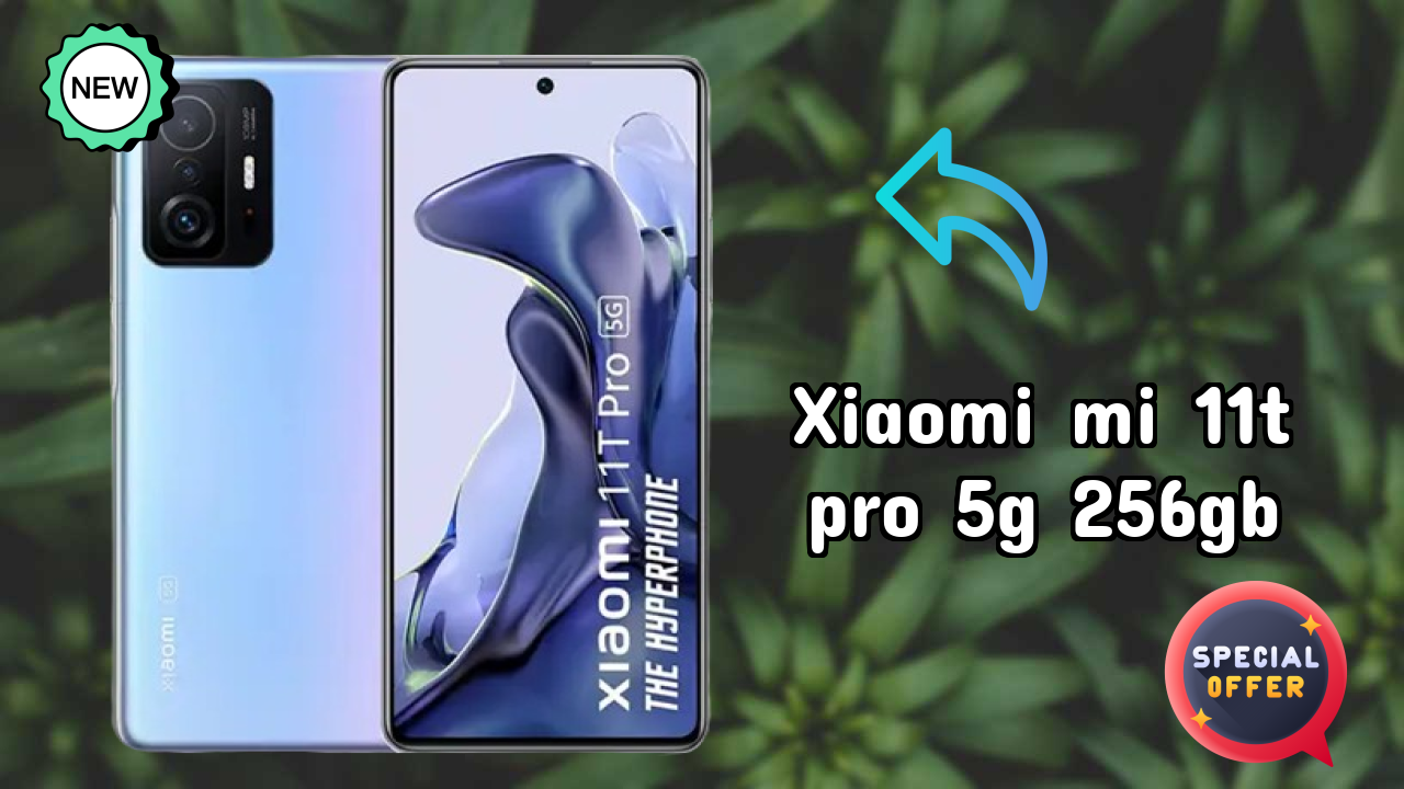 Xiaomi Mi 11T Pro 5G 256GB Camera Samples: 108 MP + 8 MP + 5 MP Rear Camera Real Photos